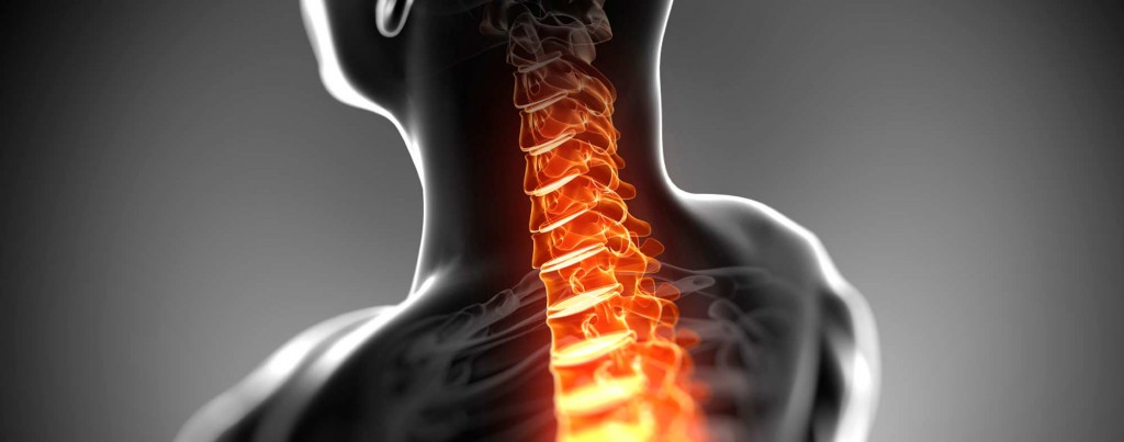 Whitehead Chiropractic Wellness Clinic – Palmerston North Chiropractor ...